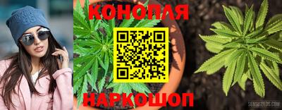 spice Канаш