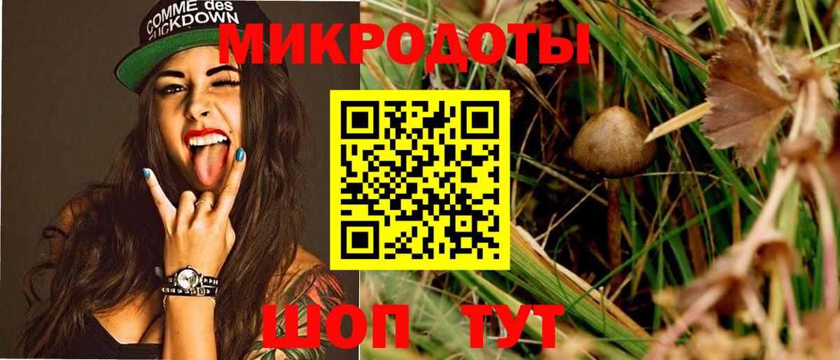 даркнет сайт  Вход с VPN  Ефремов  Псилоцибиновые грибы MAGIC MUSHROOMS 